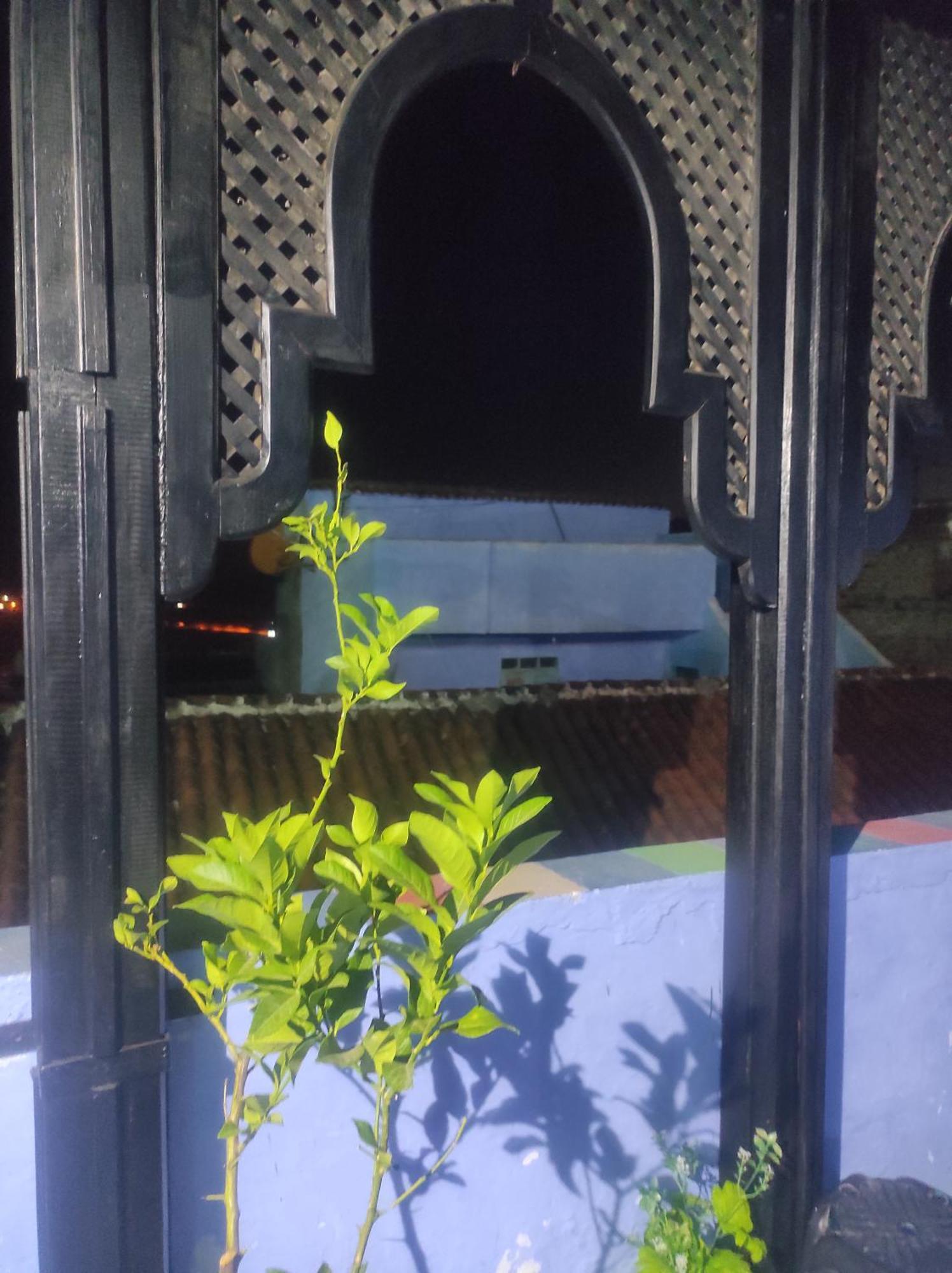 셰프샤우엔 Dar Daoued C43 아파트 외부 사진